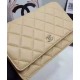 High Quality Silver CC Logo Signature Chain Shoulder Strap Bisque Yellow Quilted Leather WOC Wallet - Chanel Medium Flap Bag