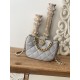 Chanel Small Hobo Bag Gold Hardware Grey For Women, Women’s Handbags, Shoulder Bags 7.5in/19cm