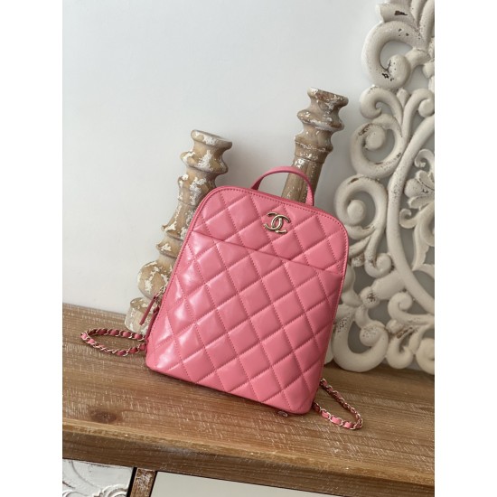 Chanel Rucksack Backpack Pink Bag For Women 21cm/8in