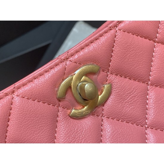 Chanel Hobo Handbag Pink Bag For Women 16cm/6in