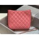 Chanel Hobo Handbag Pink Bag For Women 16cm/6in