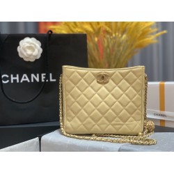 Chanel Hobo Handbag Beige Bag For Women 16cm/6in