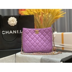 Chanel Hobo Handbag Purple Bag For Women 16cm/6in