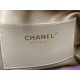 Chanel Hobo Handbag Purple Bag For Women 16cm/6in