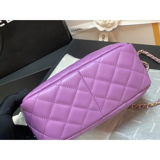 Chanel Hobo Handbag Purple Bag For Women 16cm/6in