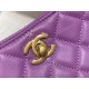 Chanel Hobo Handbag Purple Bag For Women 16cm/6in