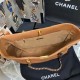 Chanel Shopping Chanel Bag 19 Brown For Women, Women’s Bags 16in/41cm