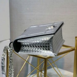 Dior Diorama Bag In Silver Metallic Calfskin