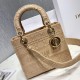 Dior Medium Lady D-Lite Bag In Beige Embroidered Canvas