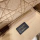 Dior Medium Lady D-Lite Bag In Beige Embroidered Canvas