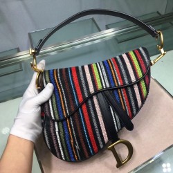 Dior Saddle Canvas Bag Embroidered With Multi-coloured Stripes