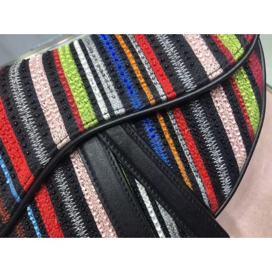 Dior Saddle Canvas Bag Embroidered With Multi-coloured Stripes