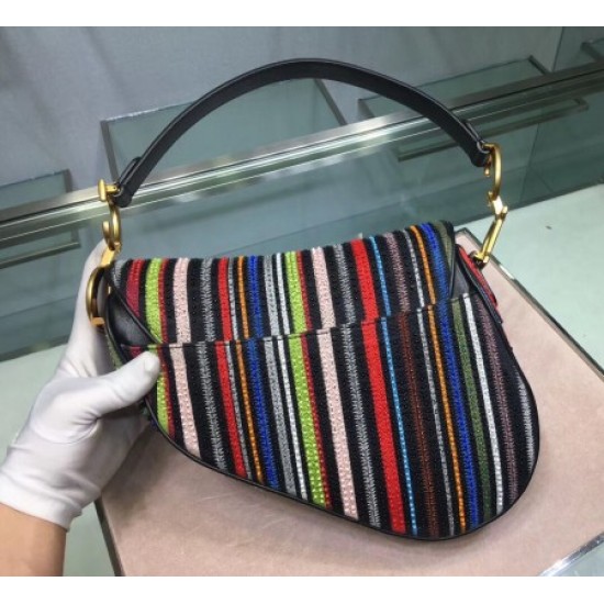 Dior Saddle Canvas Bag Embroidered With Multi-coloured Stripes