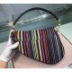 Dior Saddle Canvas Bag Embroidered With Multi-coloured Stripes