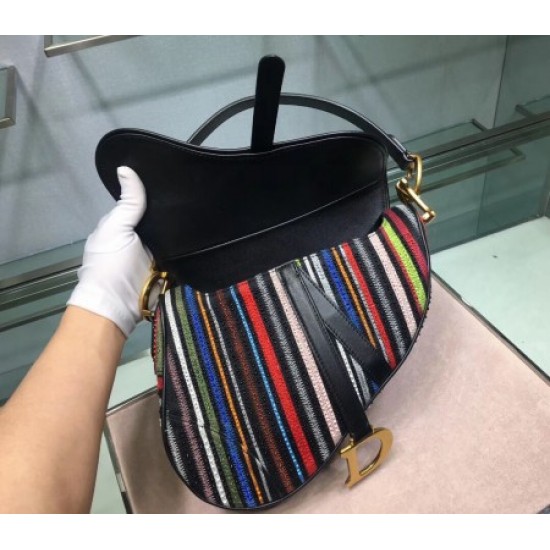 Dior Saddle Canvas Bag Embroidered With Multi-coloured Stripes