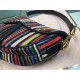 Dior Saddle Canvas Bag Embroidered With Multi-coloured Stripes