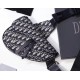 Dior Men's Saddle Belt Bag In Oblique Canvas