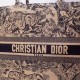 Dior Book Tote Bag In Blue Toile De Jouy Canvas