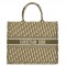 Dior Book Tote Bag In Green Oblique Canvas