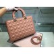 Dior Large Lady Dior Bag In Powder Cannage Lambskin