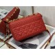 Dior Medium Dioramour Caro Red Bag with Heart Motif