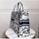 Dior Book Tote Bag In Blue Around The World Embroidered Canvas