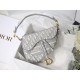 Dior Saddle Bag In Gray Dior Oblique Embroidery