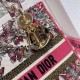 Dior Medium Lady D-Lite Bag In Multicolor Butterfly Embroidery