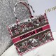 Dior Small Book Tote In Multicolor Butterfly Embroidery