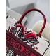 Dior Medium Book Tote In Latte Multicolor Cupidon Embroidery