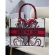 Dior Medium Book Tote In Latte Multicolor Cupidon Embroidery