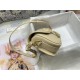 Dior Bobby East-West Bag In Beige Box Calfskin