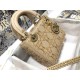 Dior Mini Lady Dior Bag In Metallic Lambskin with Beaded Embroidery