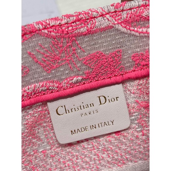 Dior Small Book Tote Bag In Pink Transparent Toile de Jouy Canvas