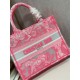 Dior Small Book Tote Bag In Pink Transparent Toile de Jouy Canvas