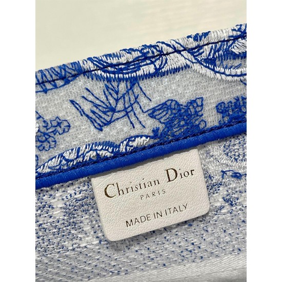 Dior Small Book Tote Bag In Blue Transparent Toile de Jouy Canvas