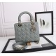 Dior Medium Lady Dior Bag with Enamel Charm In Grey Lambskin