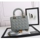 Dior Medium Lady Dior Bag with Enamel Charm In Grey Lambskin