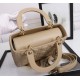 Dior Medium Lady Dior Bag with Enamel Charm In Beige Lambskin