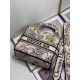 Dior Medium Lady D-Lite Bag In Powder Jardin Botanique Embroidery