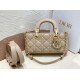 Dior Lady D-Joy Small Bag In Hazelnut Cannage Lambskin