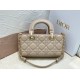 Dior Lady D-Joy Small Bag In Hazelnut Cannage Lambskin