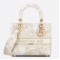 Dior Medium Lady D-Lite Bag In Gold Jardin d'Hiver Embroidery