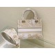 Dior Medium Lady D-Lite Bag In Gold Jardin d'Hiver Embroidery