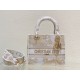 Dior Medium Lady D-Lite Bag In Gold Jardin d'Hiver Embroidery