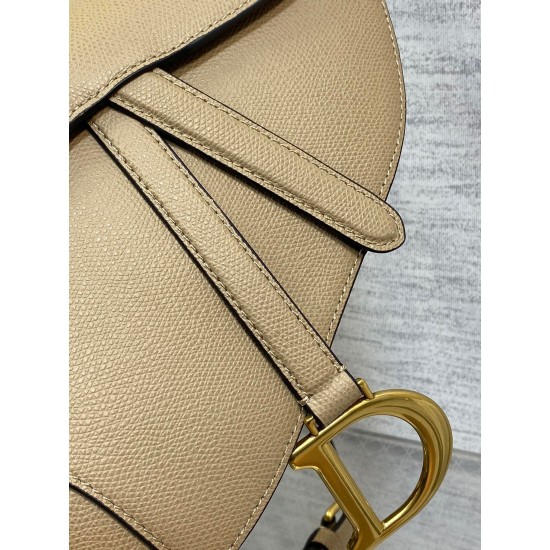 Dior Saddle Bag with Strap in Sand Grained Calfskin