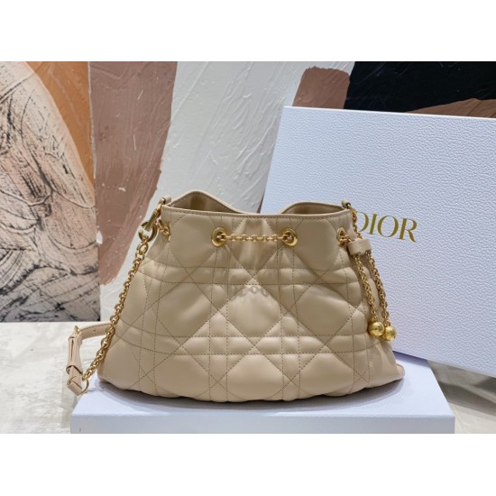 Dior Ammi Medium Bag in Sand Pink Macrocannage Lambskin