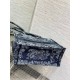 Dior Medium Book Tote Bag In Denim Blue Toile de Jouy Embroidery