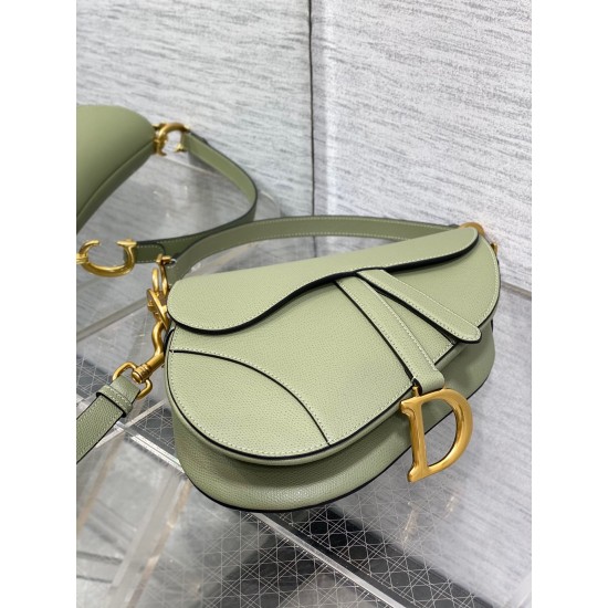 Dior Saddle Bag with Strap in Ethereal Green Grained Calfskin