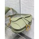 Dior Saddle Bag with Strap in Ethereal Green Grained Calfskin